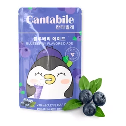 Áfonya Ízű Koreai Üdítőital, 230ml (Cantabile)
